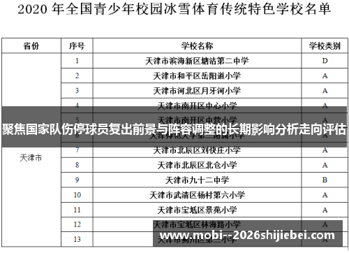 聚焦国家队伤停球员复出前景与阵容调整的长期影响分析走向评估